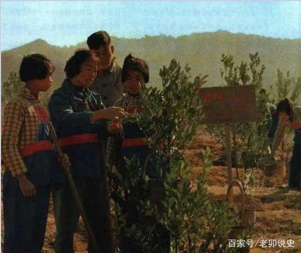 广阔天地，大有可为——记录当年知青下乡生活的珍贵彩色老照片