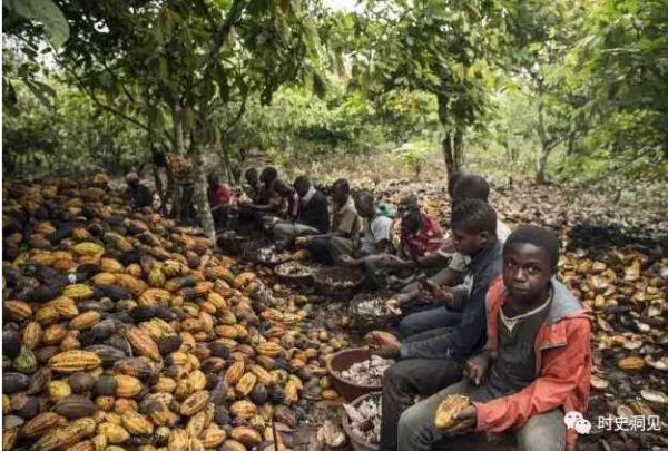 美味的巧克力和纯洁的钻石？不！它们是地球上最血腥肮脏的商品