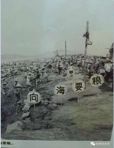 珍贵！一组澄海70年代围海造田的老照片，你一定没有看过...