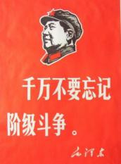 前卫战士：评《无产阶级专政比阶级斗争概念更重要》一文