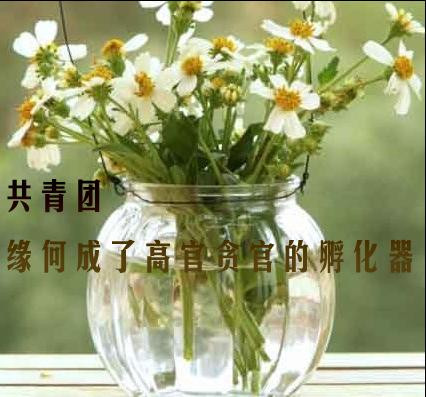 共青团缘何成了高官贪官的孵化器