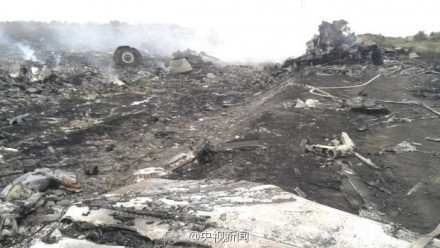 张宏良评：马航客机被击落事件