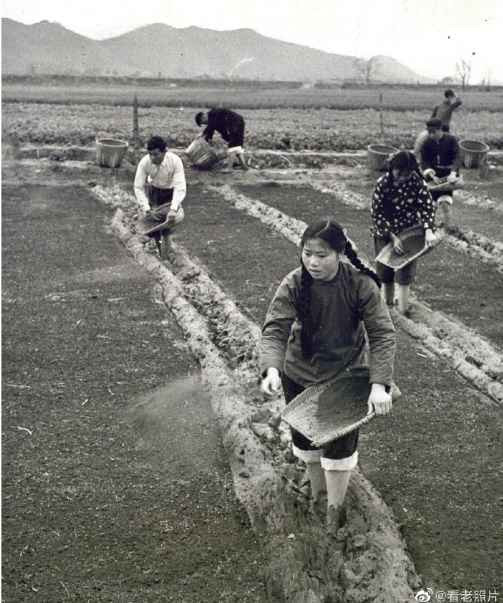 1950年代,农业合作化