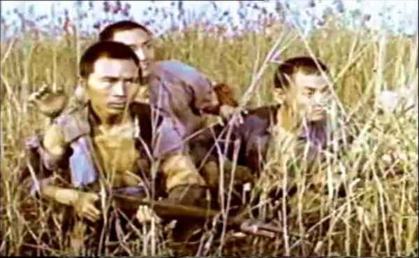 论共产党与群众关係问题 洪湖赤卫队