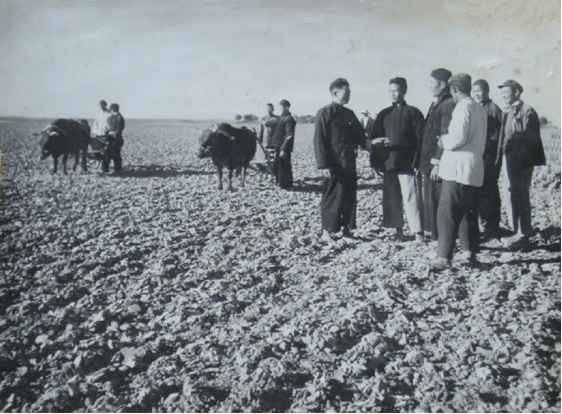 毛泽东社会主义光明道路——农业合作化运动