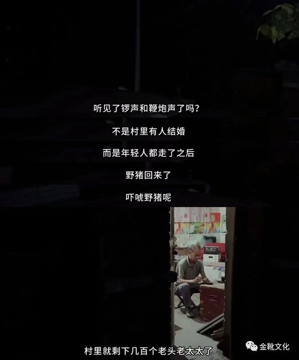 “假靳东”事件，透过现象看本质