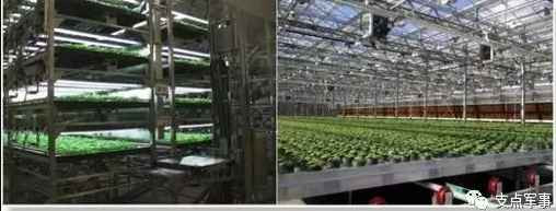 比731更邪恶，美国正秘密研制灭绝中俄的生物武器