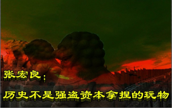 张宏良：历史不是强盗资本拿捏的玩物
