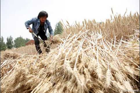 揭开撤销人民公社“悬案”，这里给出最中肯的答案！