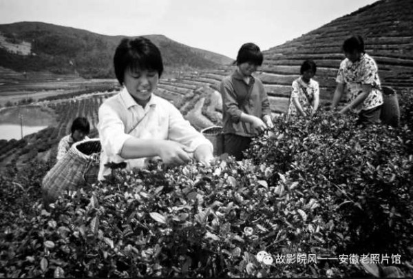 独家影像:安徽70年代的“知青”岁月