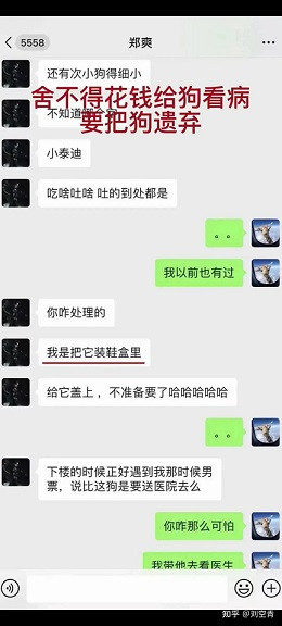 申鹏:一天挣208万?
