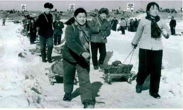 老照片:农业学大寨,旧貌换新颜,大寨精神美名扬