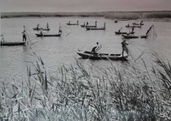 老照片：新中国70年代初期欣欣向荣的农村人民公社