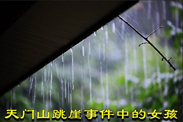 天门山跳崖事件中的女孩