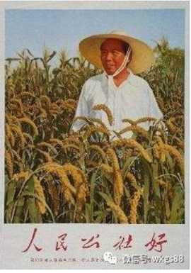 揭开撤销人民公社“悬案”，这里给出最中肯的答案！