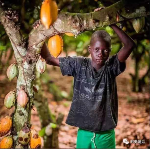 美味的巧克力和纯洁的钻石？不！它们是地球上最血腥肮脏的商品
