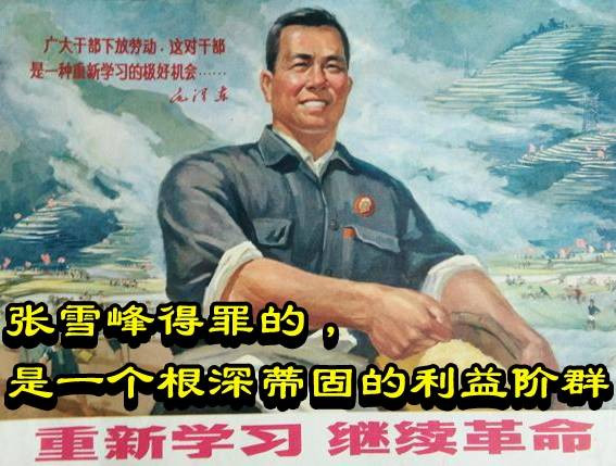 张雪峰得罪的，是一个根深蒂固的利益阶群