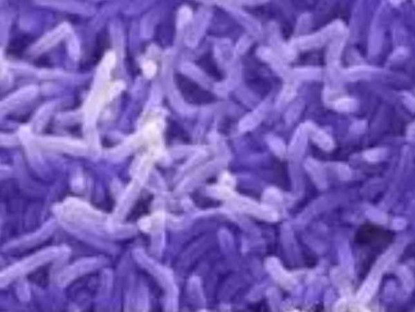 比731更邪恶，美国正秘密研制灭绝中俄的生物武器