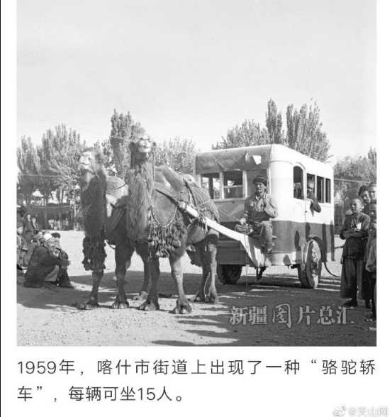 70年前的今天，新疆和平解放！