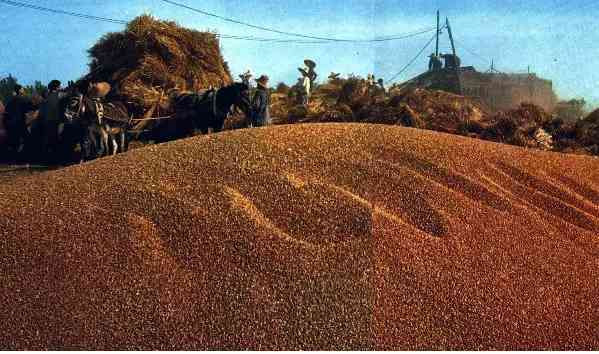 激情岁月！共和国留下父辈们创业的足印（14）