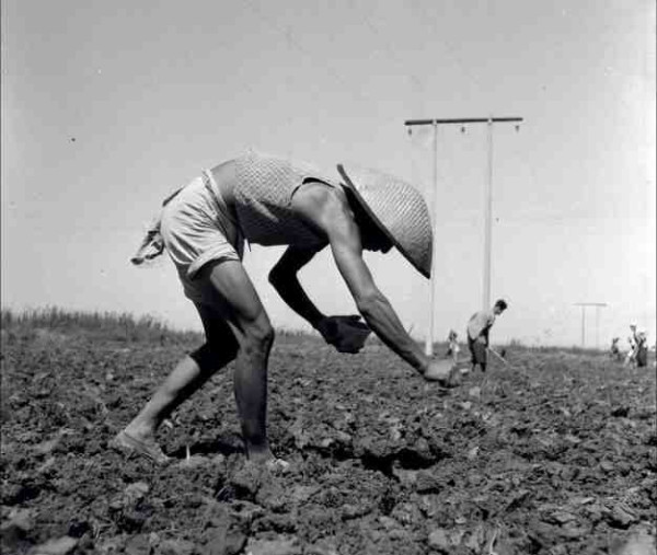 新中国工业革命与世界工业化回眸（四）