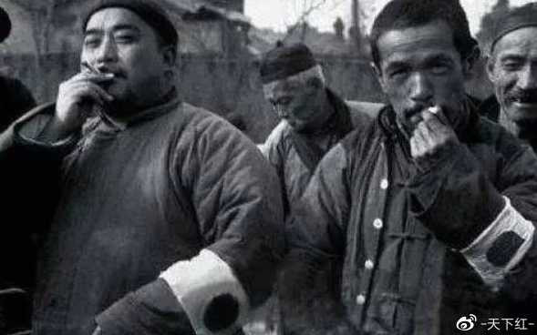 网红的狗坐轿子，富人的狗改历史