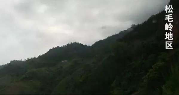 战将张又侠履新：他7分钟全歼高地守敌，带一团胜敌六个团