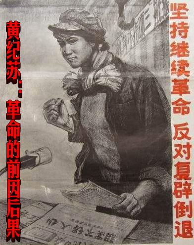 黄纪苏：革命的前因后果