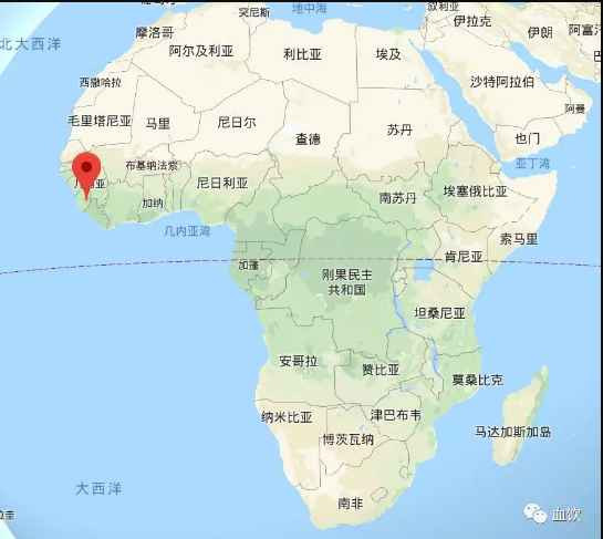 紧急封杀华裔病毒专家邱香果，美国蓄意传播埃博拉病毒剑指中国！