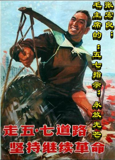 张宏良：毛主席的“五七指示”永放光芒