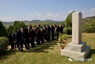 王亚军大使祭扫顺川中国人民志愿军烈士墓