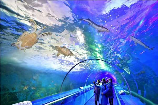 为了人民的幸福——在伟大领导者金正日同志诞辰81周年之际