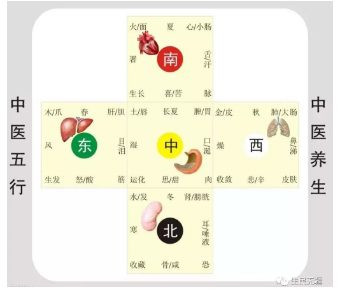 张宏良：中国政治文明绝不能再蹈物质发明的悲剧