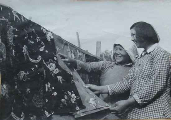 毛泽东社会主义光明道路——农业合作化运动