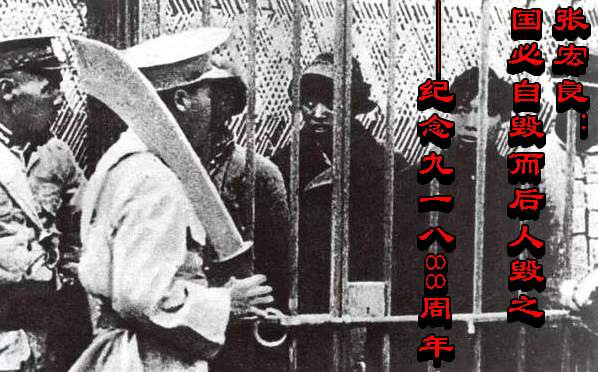 张宏良:国必自毁而后人毁之  (2019)