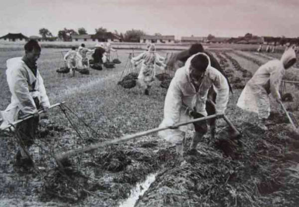 老照片：新中国70年代初期欣欣向荣的农村人民公社