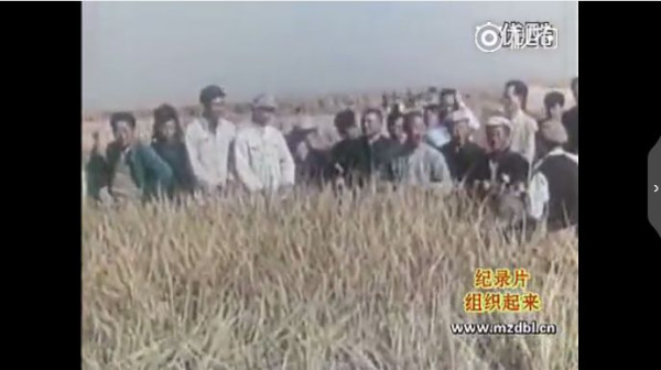 纪录片：组织起来