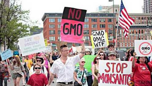 再不制止，我国就要被孟山都给坑死了！（综合）