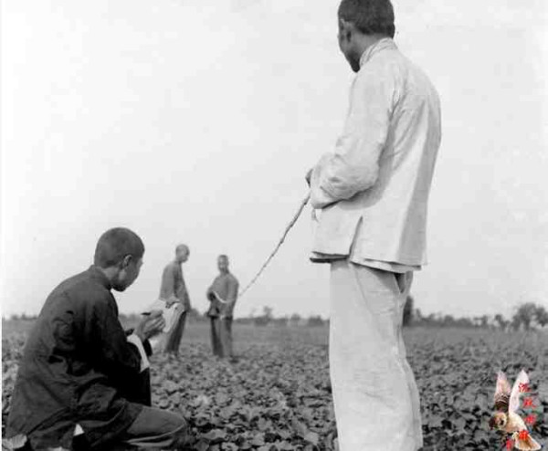 中华民族的子孙应当知道的关于毛主席的十四个谬论