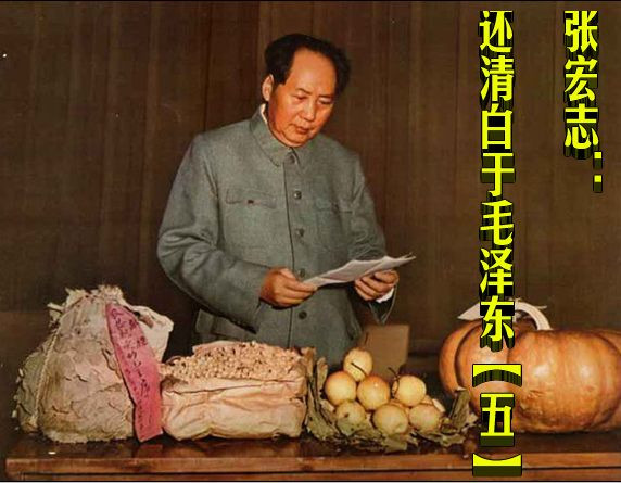 张宏志：还清白于毛泽东【五】