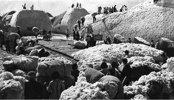 激情岁月！共和国留下父辈们创业的足印（14）