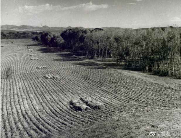 1950年代,农业合作化
