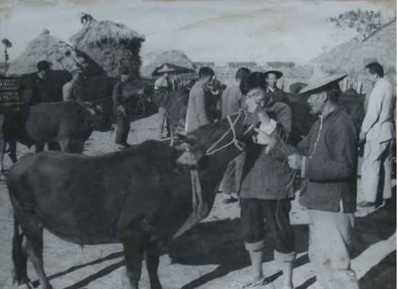 毛泽东社会主义光明道路——农业合作化运动