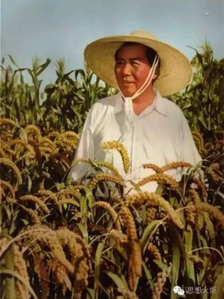 天安门城楼上的毛主席像是国本所在！