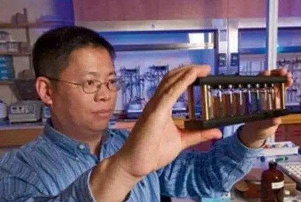 张宏良：中华民族已经再次到了最危险的时候