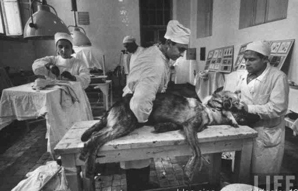 新中国工业革命与世界工业化回眸（四）