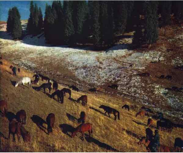 激情岁月！共和国留下父辈们创业的足印（4）