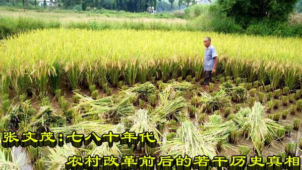 张文茂：七八十年代农村改革前后的若干历史真相