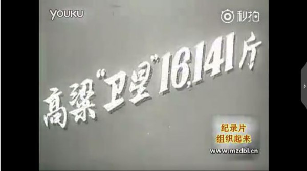 纪录片：组织起来