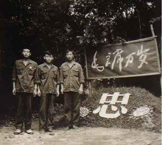 抗美援越罕见旧照曝光:美军给解放军下跪投降